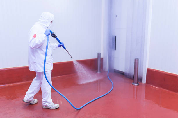Best Sidewalk and Walkway Cleaning  in Holladay, UT